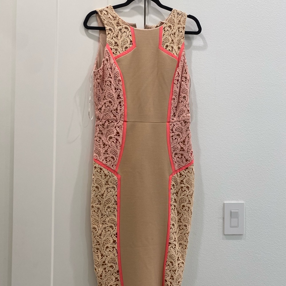 NWT | Nude and blush Pencil Dress